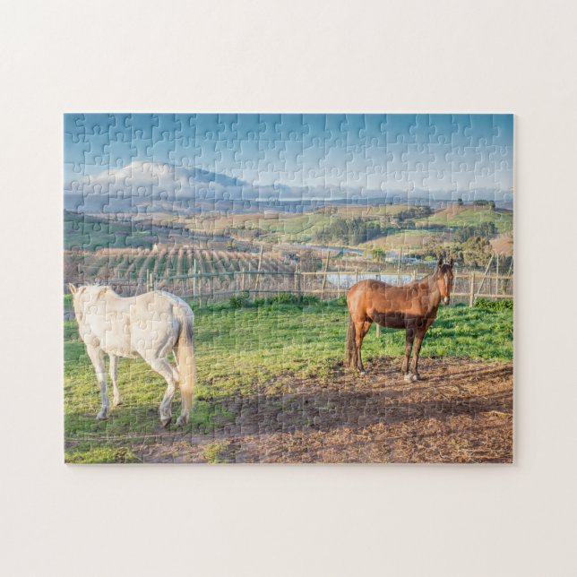 Quebra-cabeça de Dois Cavalos Árabes (Horizontal)