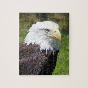 Quebra-cabeça de Eagle