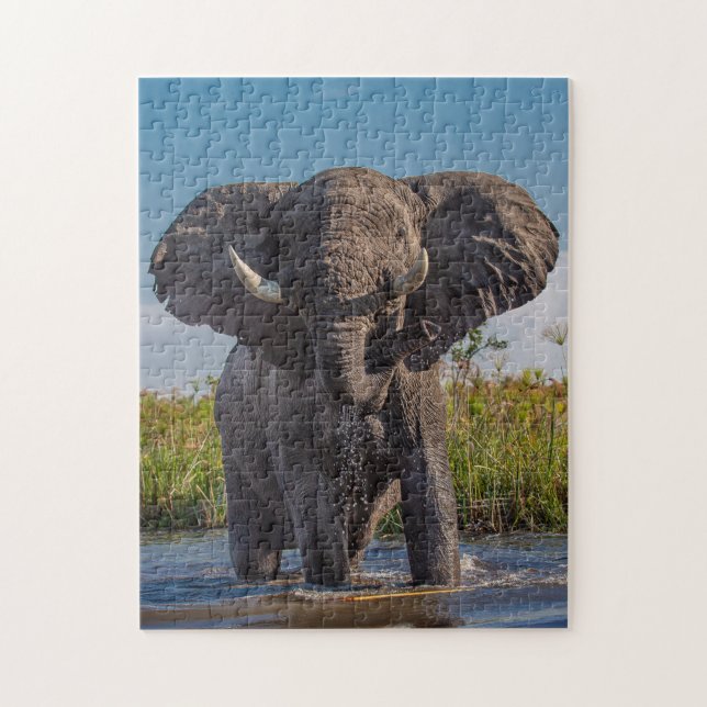 QUEBRA-CABEÇA DE ELEFANTE (Vertical)