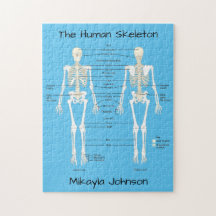 Quebra-cabeça de esqueleto humano rotulado