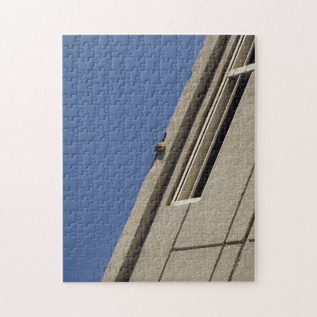 Quebra-cabeça de esquilo (Vertical)