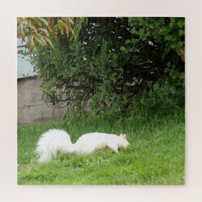 Quebra-cabeça de Esquilo Albino (Vertical)