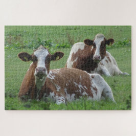 Quebra-cabeça de Fecho: Duas Vacas Marrom-brancas-