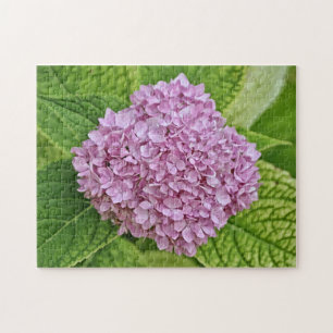 Quebra-cabeça de Flor de Hipodaria Roxo e Rosa