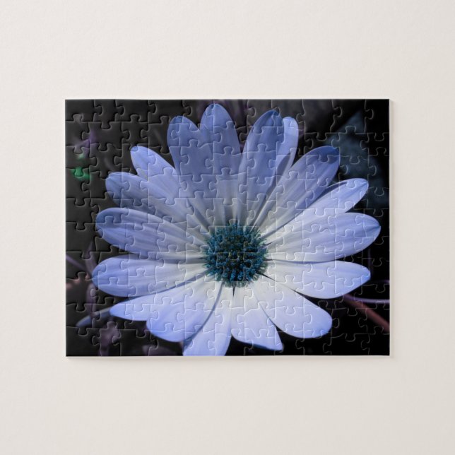 Quebra-cabeça de Flor de Margarida Azul (Horizontal)