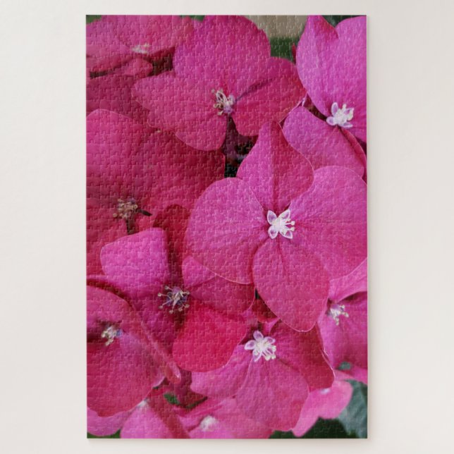 Quebra-cabeça de Flor Hidrangea Rosa (Vertical)