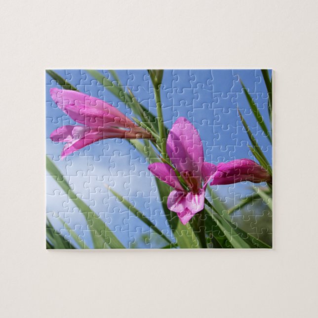 Quebra-cabeça de Flor Jigsera (Horizontal)