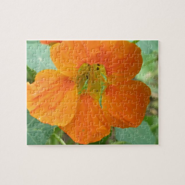 Quebra-cabeça de Flor Nasturtium Laranja bonito (Horizontal)