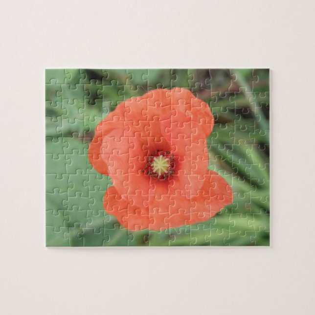 Quebra-cabeça de Flor Selvagem Poppy (Horizontal)