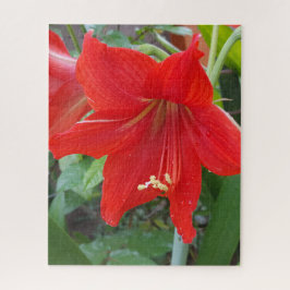 Quebra-cabeça de Flor Vermelho Lilly