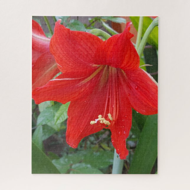 Quebra-cabeça de Flor Vermelho Lilly (Vertical)