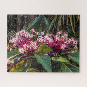 Quebra-cabeça de Flores de Fora de Foco Clerodendr