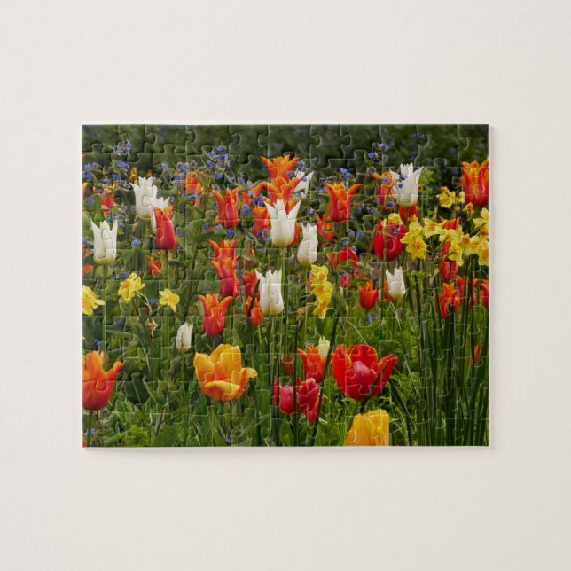 Quebra-cabeça de Flores de Mola (Horizontal)