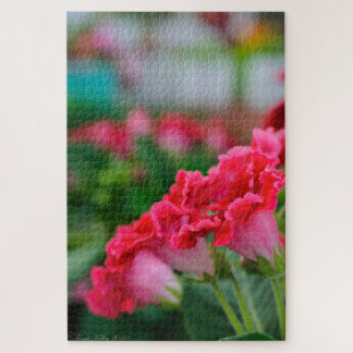 Quebra-cabeça de Flores Rosas