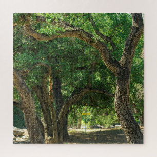 Quebra-cabeça de floresta de golfe de disco muito