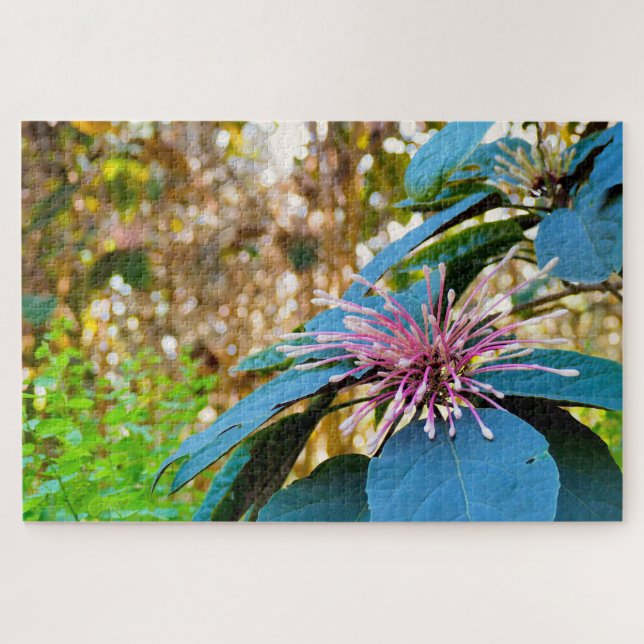 Quebra-cabeça de Foto de Flor Rosa Tropical (Horizontal)