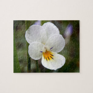 Quebra-cabeça de Foto de Pansy Selvagem com Caixa