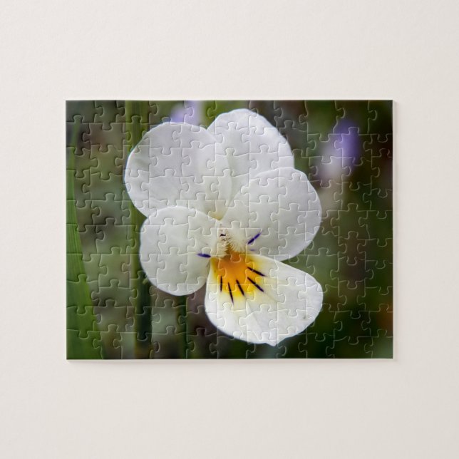 Quebra-cabeça de Foto de Pansy Selvagem com Caixa  (Horizontal)