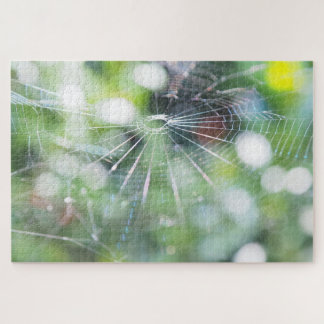Quebra-cabeça de Foto de Teia de Aranha
