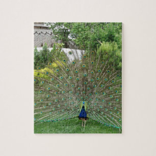 Quebra-cabeça de Foto Pavock de 8" x 10" com Caixa