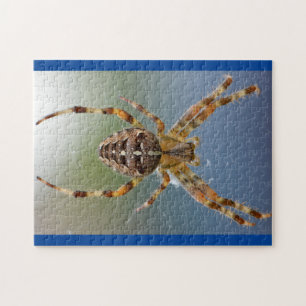 Quebra-cabeça de Fotografia Adorável Arachnid Sp