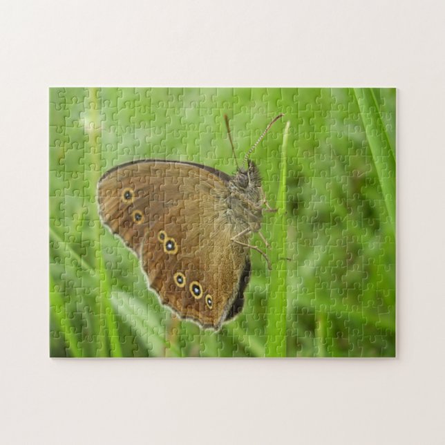 Quebra-cabeça de Fotografia da Borboleta Ringlet c (Horizontal)
