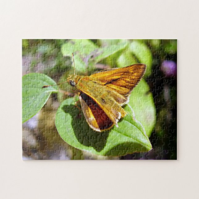 Quebra-cabeça de Fotografia de Borboleta de Pequen (Horizontal)