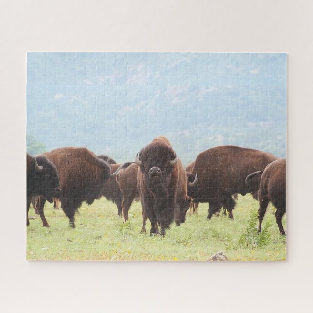Quebra-cabeça de Fotografia de Buffalo Herd (Horizontal)
