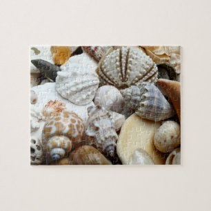 Quebra-cabeça de Fotografia de Conchas Tropicais