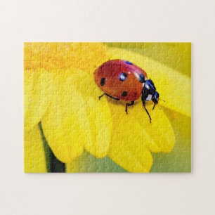 Quebra-cabeça de Fotografia de Flor Amarelo Ladyb