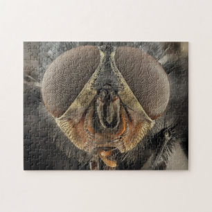 Quebra-cabeça de Fotografia de Insetos de Fly Eye