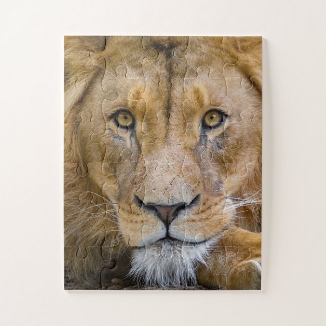 QUEBRA-CABEÇA DE FOTOGRAFIA DE LION CLOSEUP JIGSAW (Vertical)