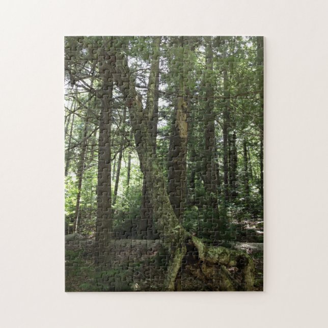 Quebra-cabeça de fotografia de trilha de caminhada (Vertical)