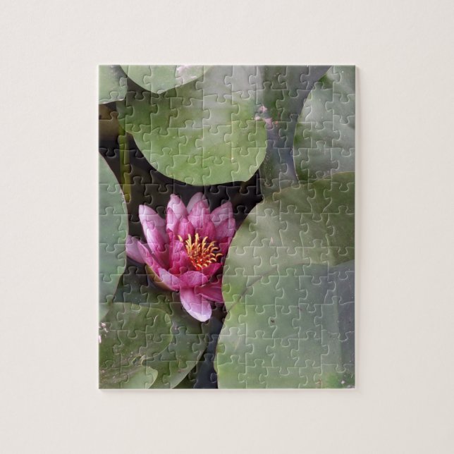 Quebra-cabeça de Fotografia do Flor de Lotus Rosa  (Vertical)