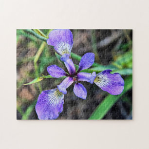 Quebra-cabeça de Fotografia Grande Iris Azul Selva