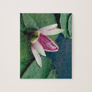 Quebra-cabeça de Fotografias do Lotus Flower 8x10