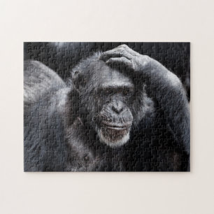Quebra-cabeça de fotos antigas de Chimpanzé