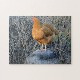 Quebra-cabeça de galinha