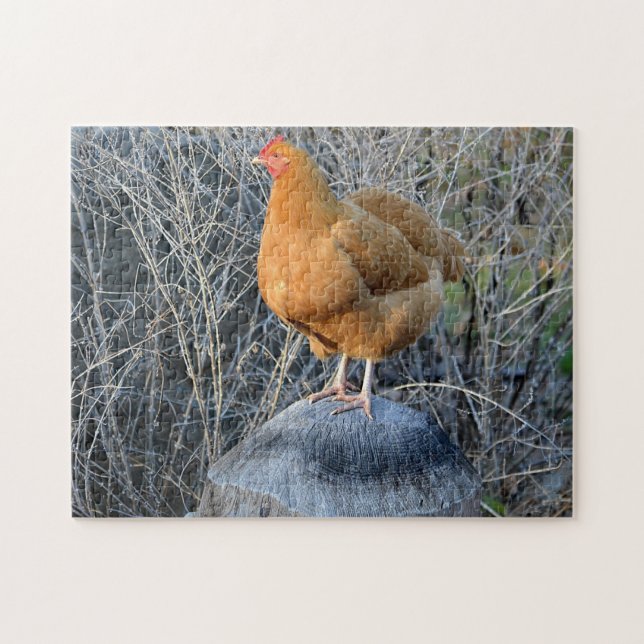 Quebra-cabeça de galinha (Horizontal)