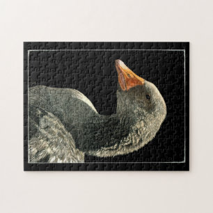 Quebra-cabeça de Ganso - "Lucy"