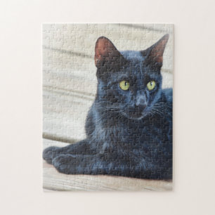 Quebra-cabeça de Gatinho Bonito de Gato Negro