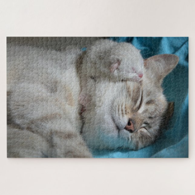 quebra-cabeça de gatinho e mãe (Horizontal)