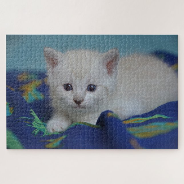 quebra-cabeça de gatinho pequeno (Horizontal)