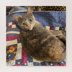 Quebra-cabeça de gato