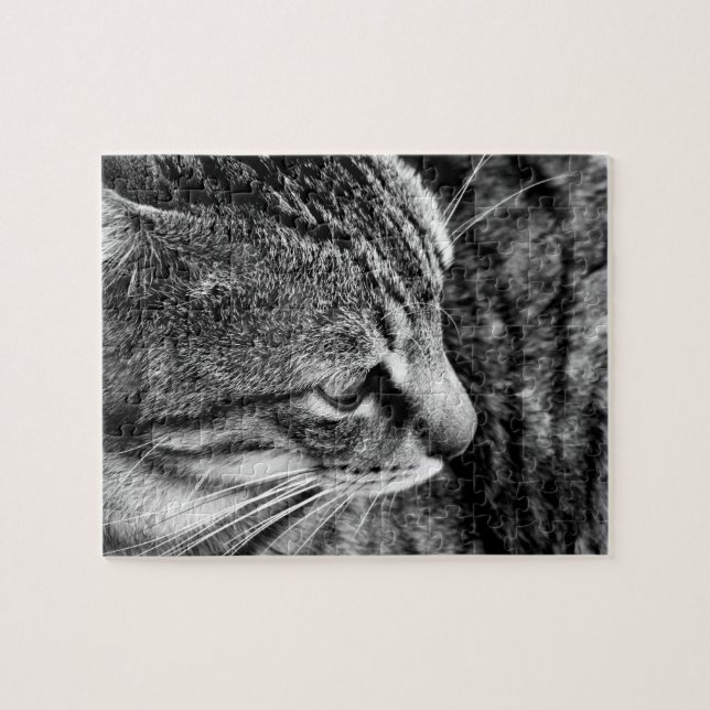 Quebra-cabeça de gato (Horizontal)