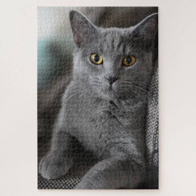 quebra-cabeça de gato de casa (Vertical)