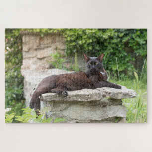 quebra-cabeça de gato de jardim