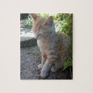 Quebra-cabeça de Gato Inocente
