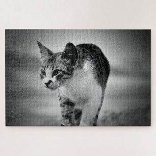 quebra-cabeça de gato pesquisador