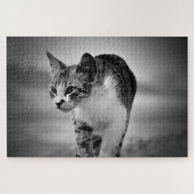 quebra-cabeça de gato pesquisador (Horizontal)